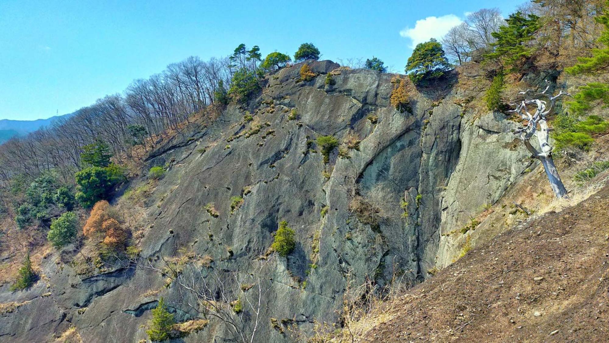 Toyoko Inn Fujisan Otsuki-Eki Otsuki  Esterno foto